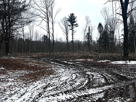 4th image of Mount Vista Rd