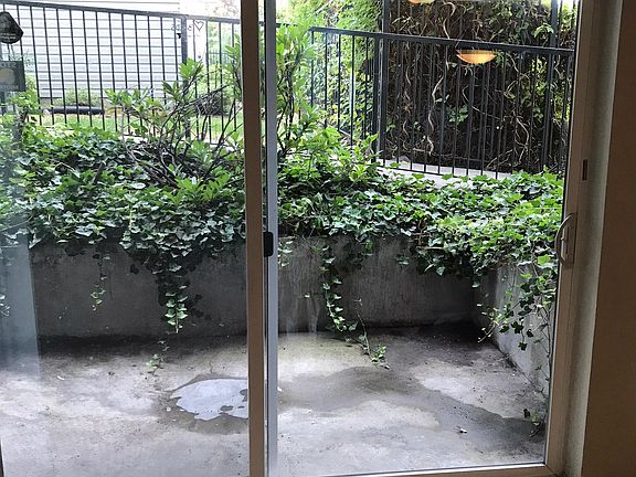 Secluded Outdoor Patio