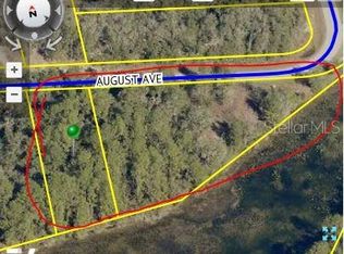 August Ave, Webster, FL 33597