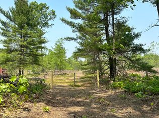 8318 E Koenig Rd, Irons, MI 49644