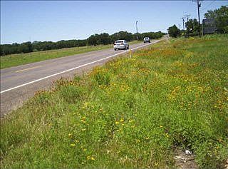 2nd image of 8005 Glen Rose Hwy