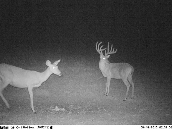 5th image of 0 Bunker Hill Rd