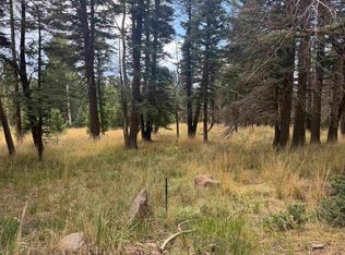 Lot 1319 Pleasant Valley Overlook, Angel Fire, NM 87710