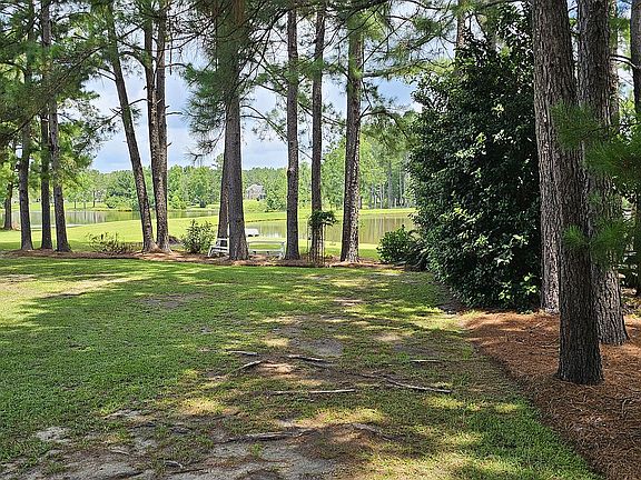 5th image of 137 Sweetbriar Lakes Dr