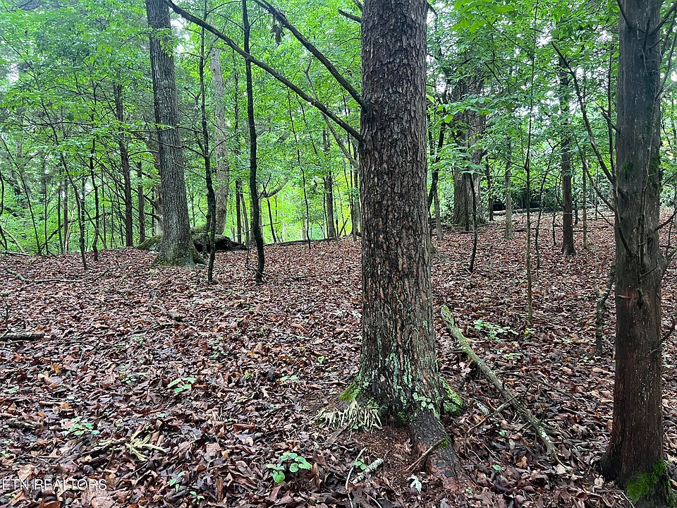 2nd image of Blackberry Ridge Rd