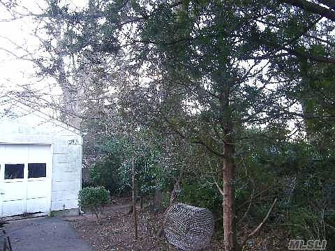 4th image of 71 Belmont Ave