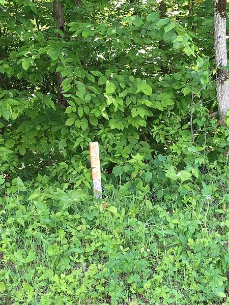 2nd image of Lot #9 REYNOLDS Road