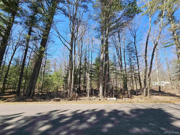 123 Olsen Rd, Gwinn, MI 49841