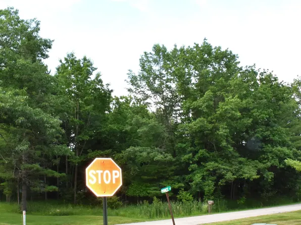 LOT 234 Kings Way, Gladwin, MI 48624