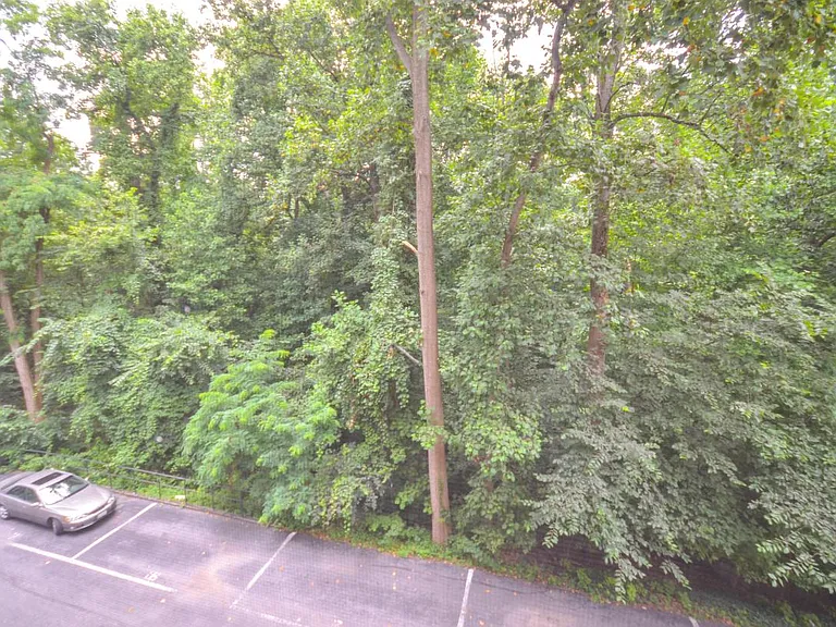 View from unit