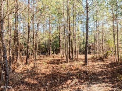 6725 Sandy Run Drive NE, Leland, NC, 28451