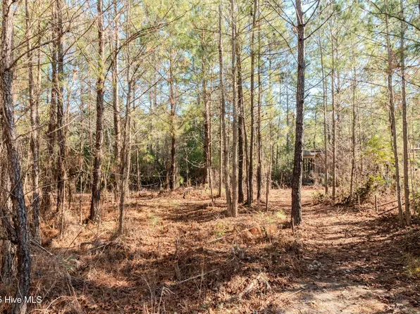 6725 Sandy Run Drive NE, Leland, NC 28451