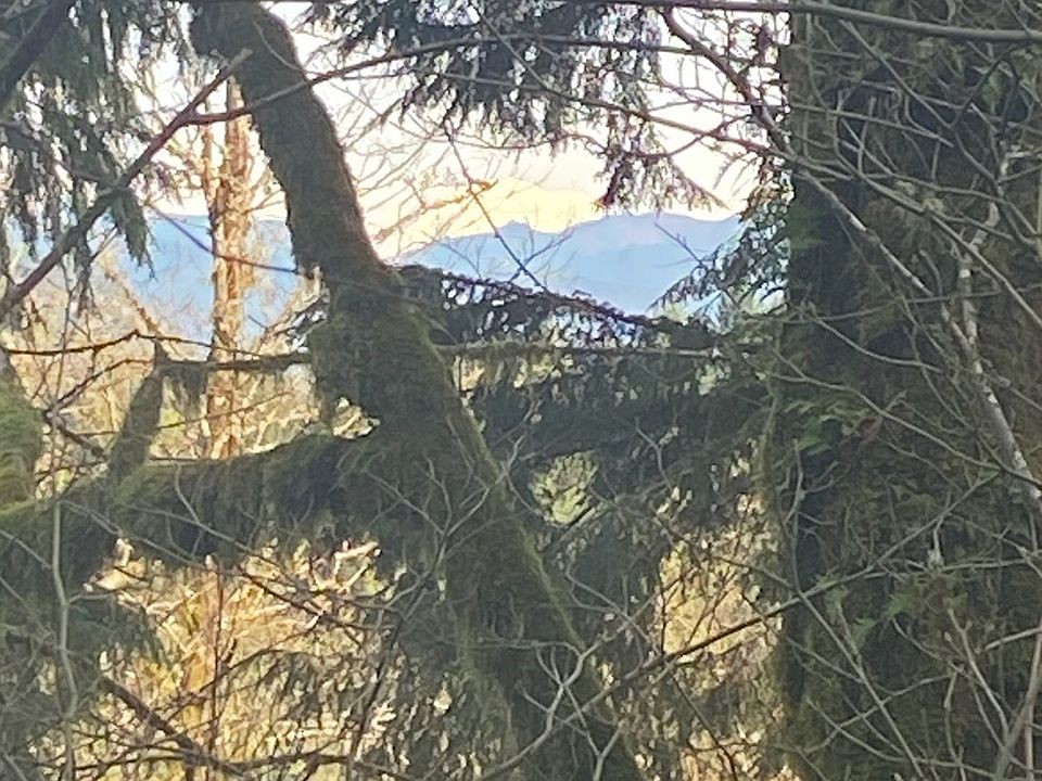 2nd image of 0 NE 399th St