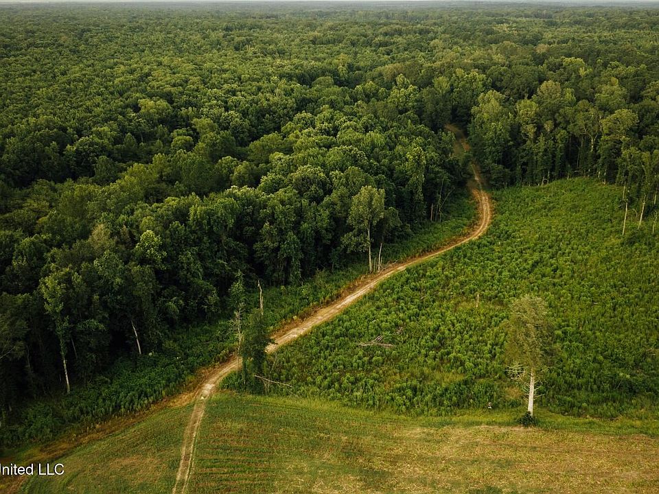 19th image of this home