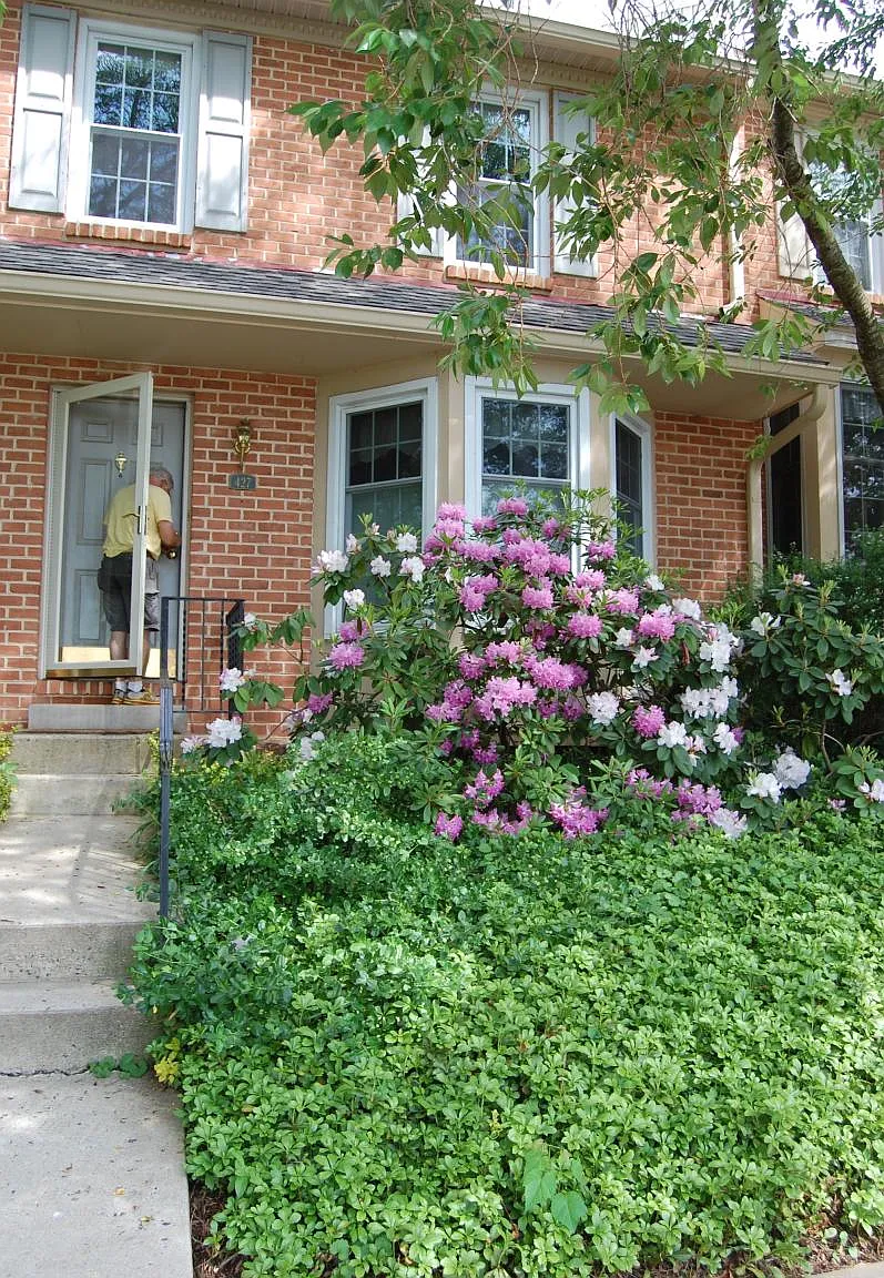 4 bed, 2.5 bath, 2354 sqft, $2,900 — Photo 1