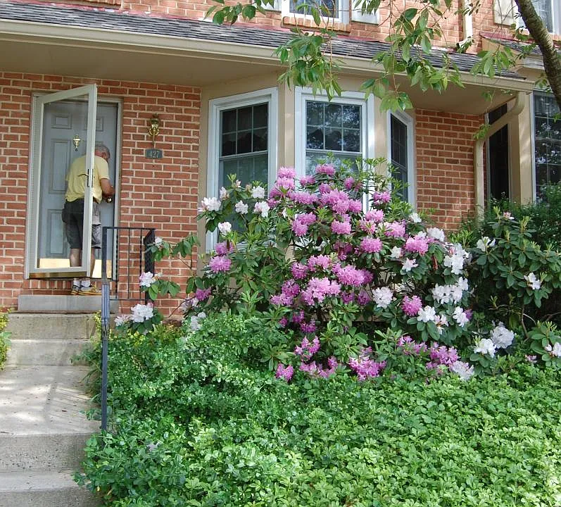 427 Oakmont Ct #TOWNHOME