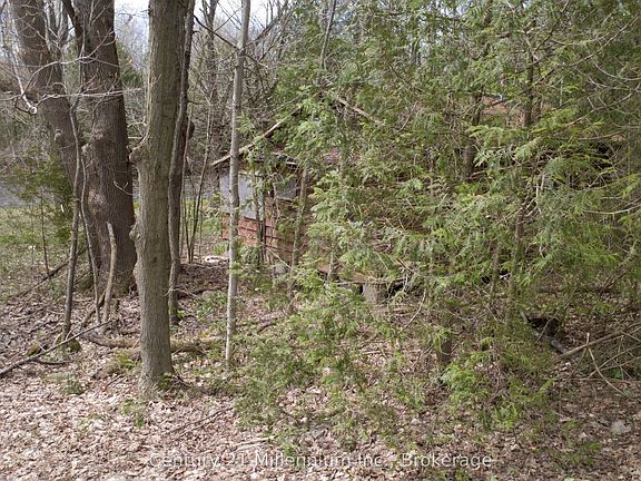 5th image of 62 Rogers Cres
