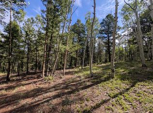 60 Fluorite Ln, Divide, CO 80814