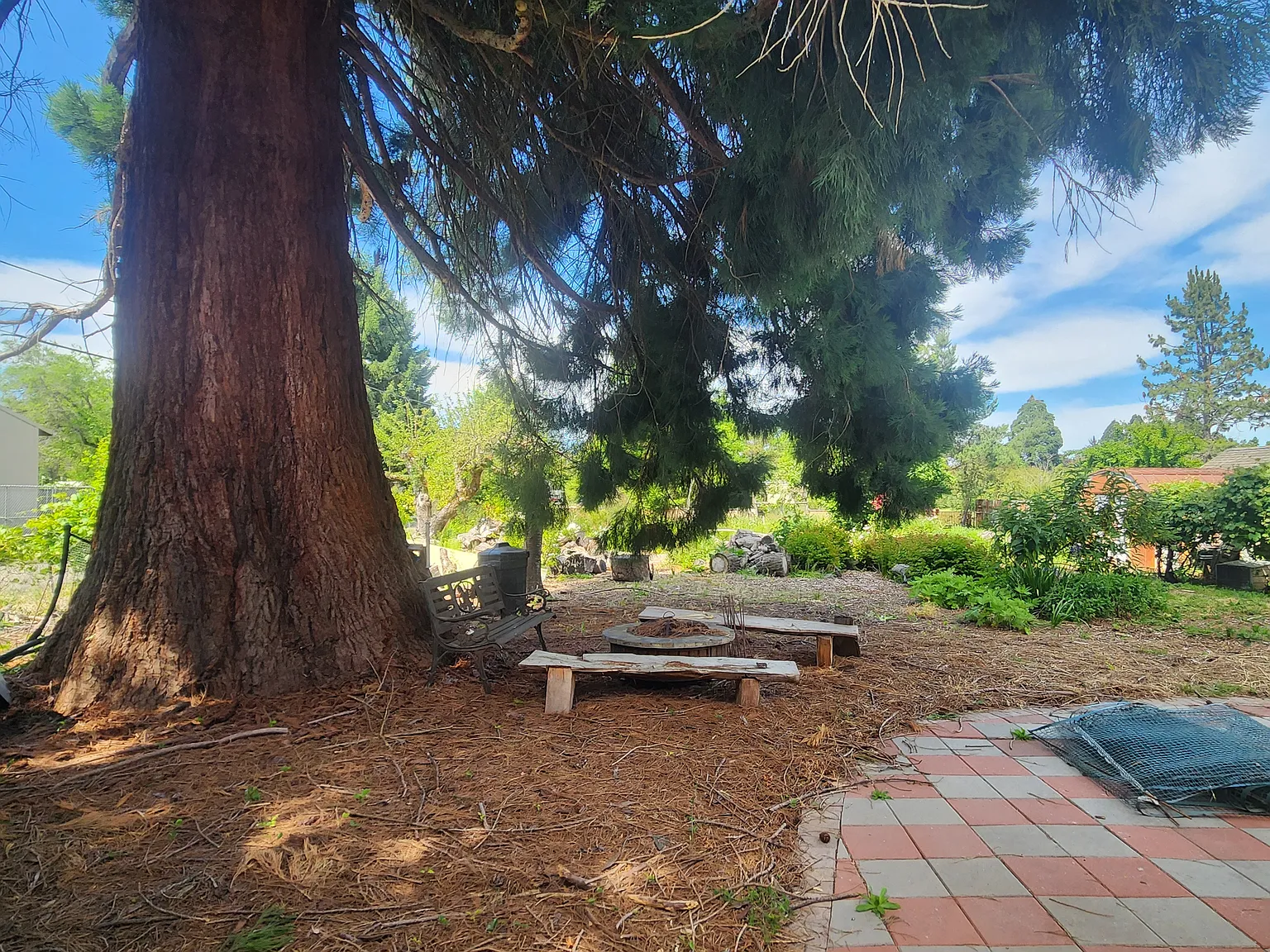 SW Hillview Ave, Corvallis — Photo 4