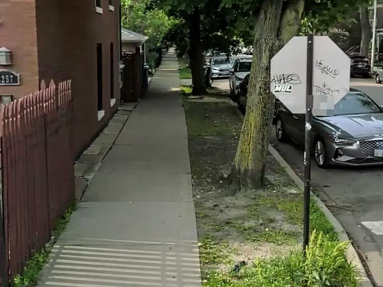 Tree Lined Buck Town Neighborhood