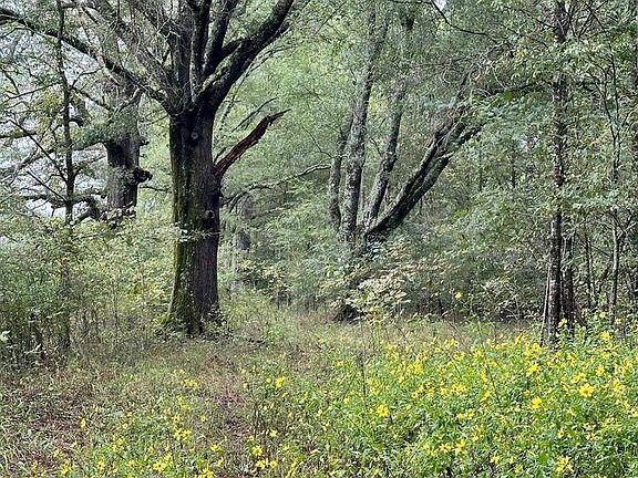 3rd image of Swamp Rd Lot A-e