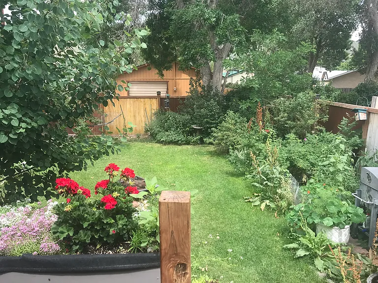 Recycled metal and wood fencing 6' height surrounds the entire rear property, giving a sense of security and privacy. Garden beds, chicken coop, and flower boxes galore