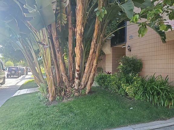 2nd image of 714 E Acacia Ave #215