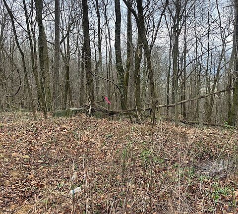 2nd image of 0 Talley Top Trl