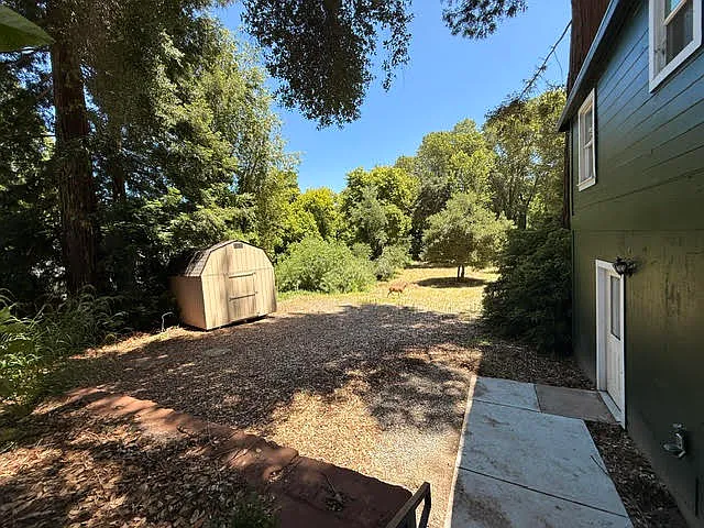 276 Woodland Dr — Photo 19