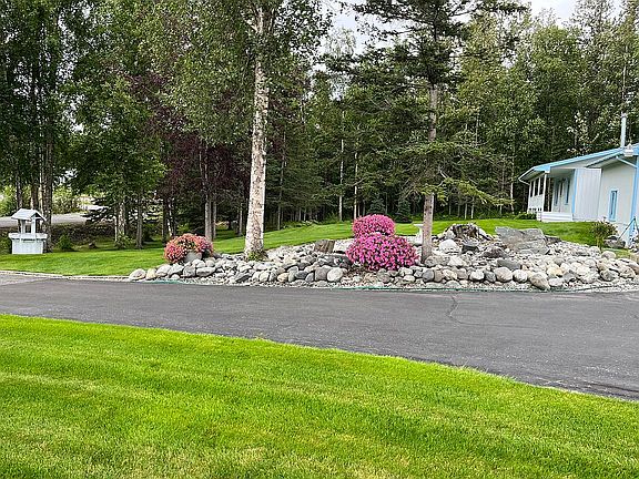 Front yard