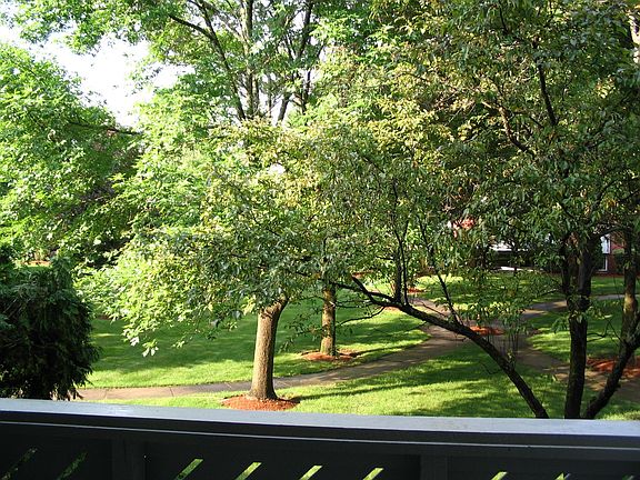 DECK VIEW OF COURTYARD