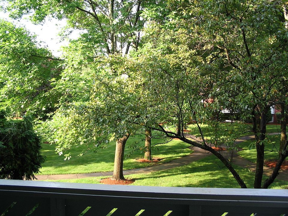 DECK VIEW OF COURTYARD