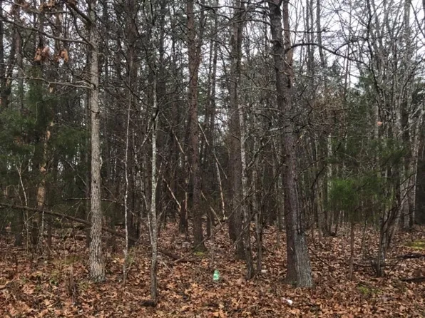 0-3C Mohawk Rd Lot 3C, Gladys, VA 24554