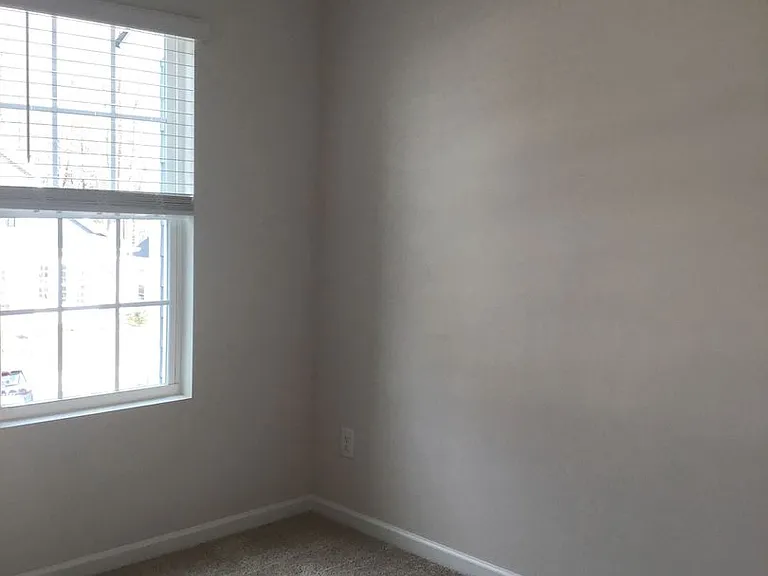 1029 Beatty Woods Dr — Photo 17