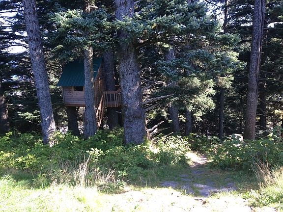Back Yard and Woods