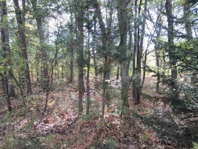 Iroquois Ave, Prudenville, MI, 48651