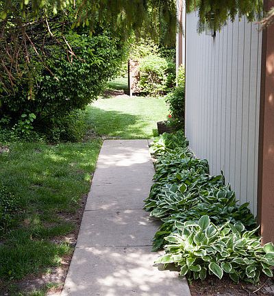 2nd image of 641 Glacier Ct