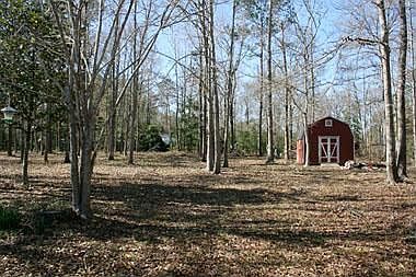 5th image of 300 Bonnie Creek Dr