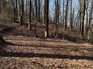 6180 Burnt Mountain Rd, Ellijay, GA 30536