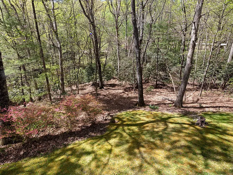 110 Sleepy Gap Rd — Photo 16
