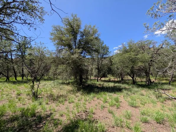310 Limpia Canyon Trl, Fort Davis, TX 79734