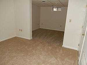 Basement Family Room