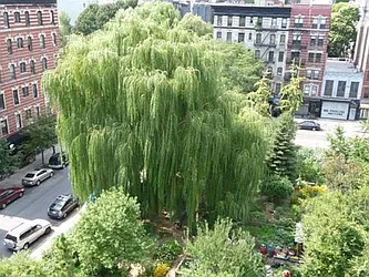 Rented by Royalty Living NYC