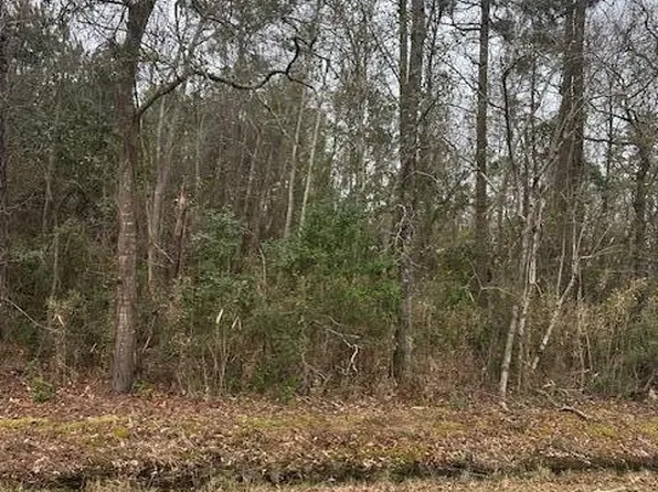 7575 Princess Ann Road, Evergreen, NC 28438