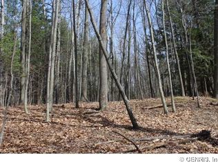 0 State Route 230, Dundee, NY 14837