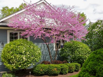 22W474 Emerson Ave, Glen Ellyn, IL, 60137