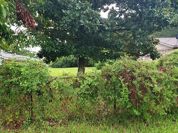 3rd image of 0 Jackson Ave