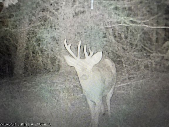 5th image of 0 County Road 1290 E