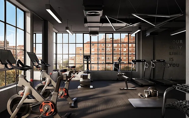 Rented by Douglas Elliman | media 23