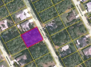 22 Ballard Ln, Palm Coast, FL 32137